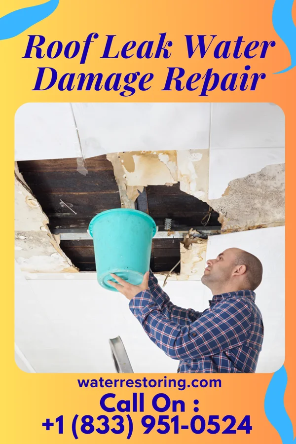 Roof Leak Water Damage Repair in Paton, IA